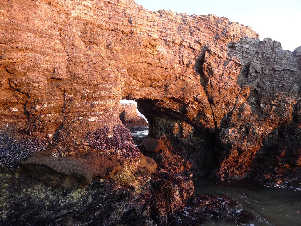 2014-01-17 PointReyesCamping 053